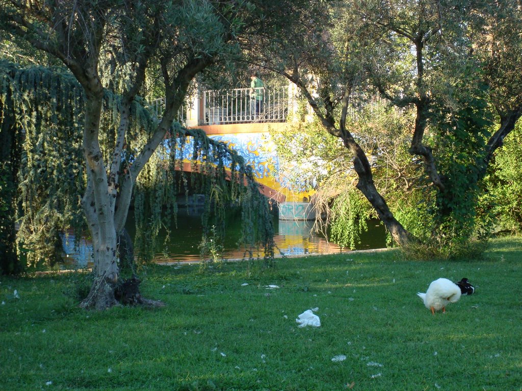 Ceramic bridge at Alameda Park in Talavera by fjaviergil