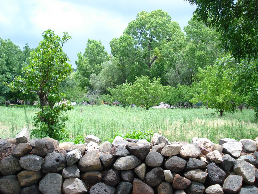 Abundante flora junto al río by NOE-GONZALEZ