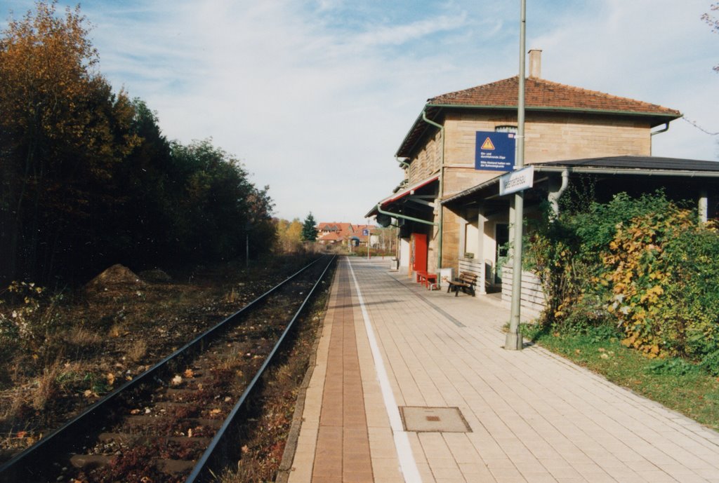 Train Station by Frank Landshuter