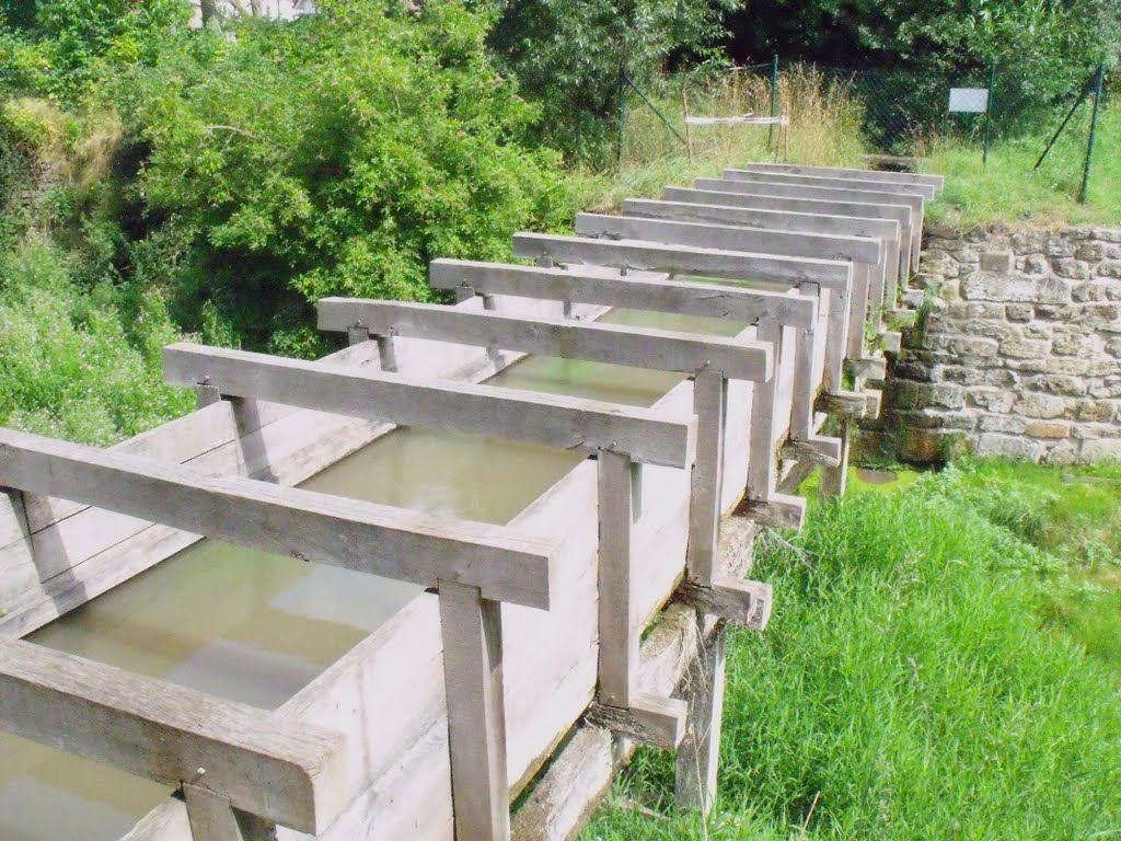 Das Helbesystem hölzerne Brücke in Westgreußen by K.S.