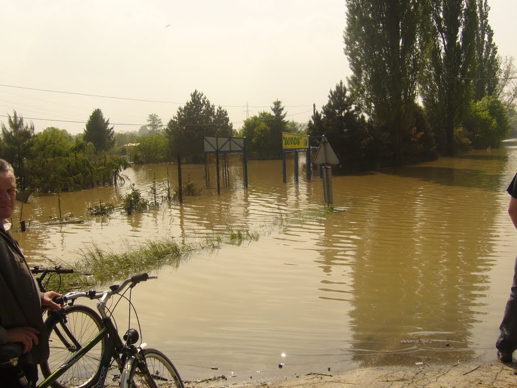 Zalane ogródki działkowe "lotos" by jerusalemPL