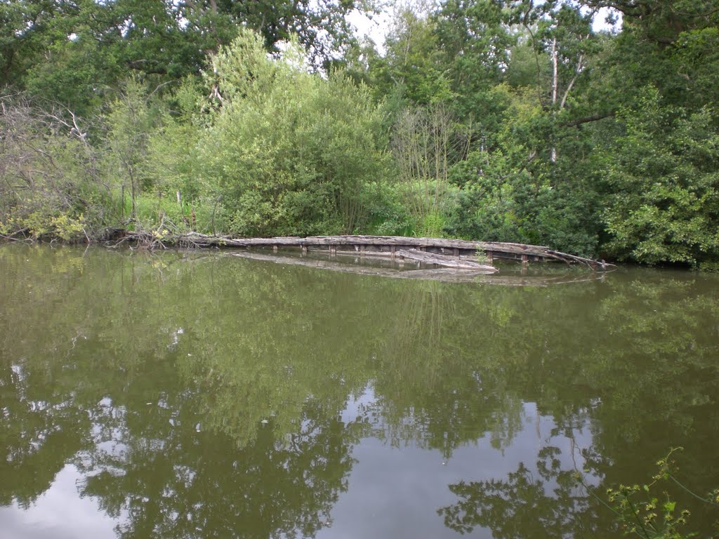 Remains of Wooden Barge from Canal Towpath Looking East by Klein martin