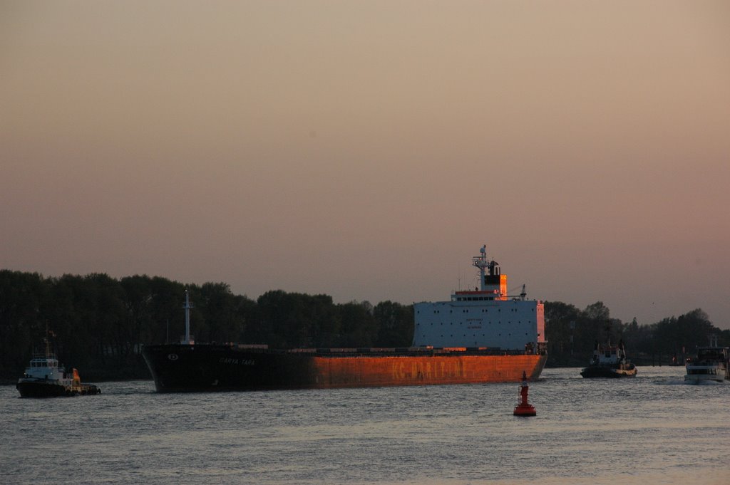 Abendstimmung an der Elbe, April 2007 by fagista