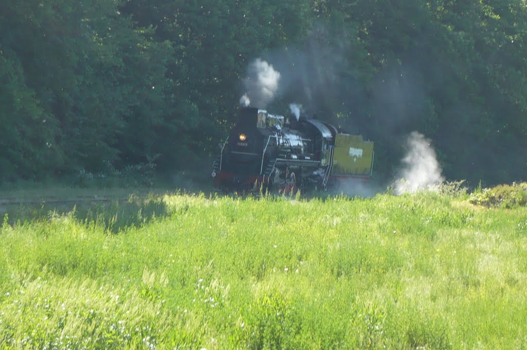 Scenic Valley Railroad, Boone IA by Gabor Petro "mapex"