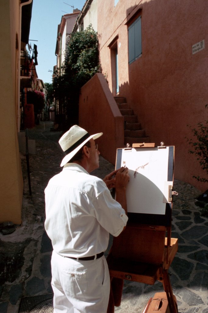 Collioure, Pyrénées-Orientales, Languedoc-Roussillon, France by Hans Sterkendries