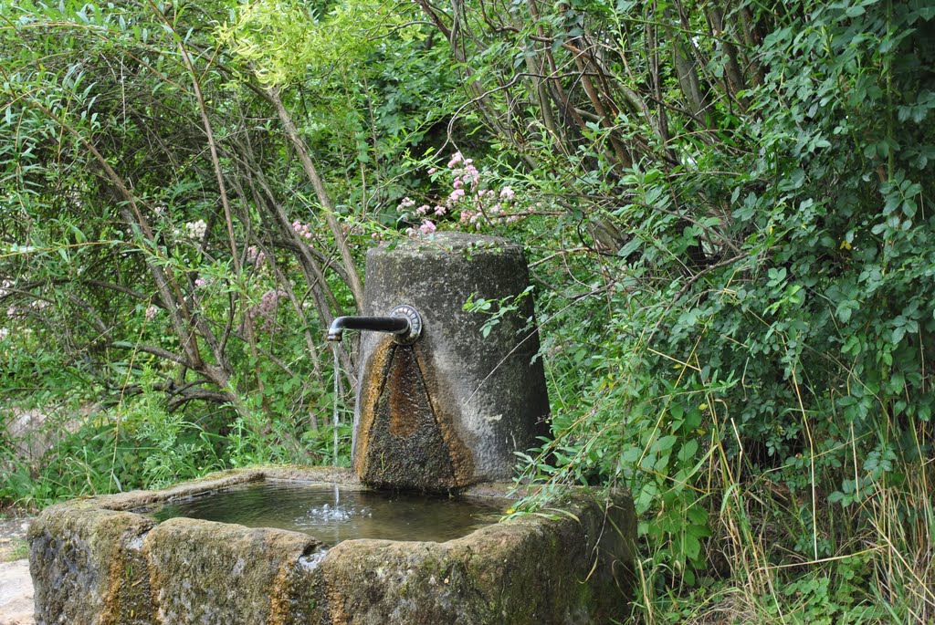 Brunnen am Ortseingang Ebringen by grammi