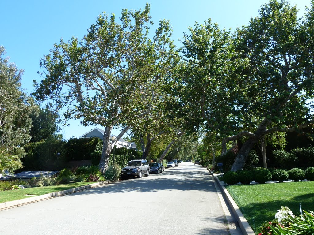 View of Amalfi Drive, Palisades Riviera by Alan Fogelquist