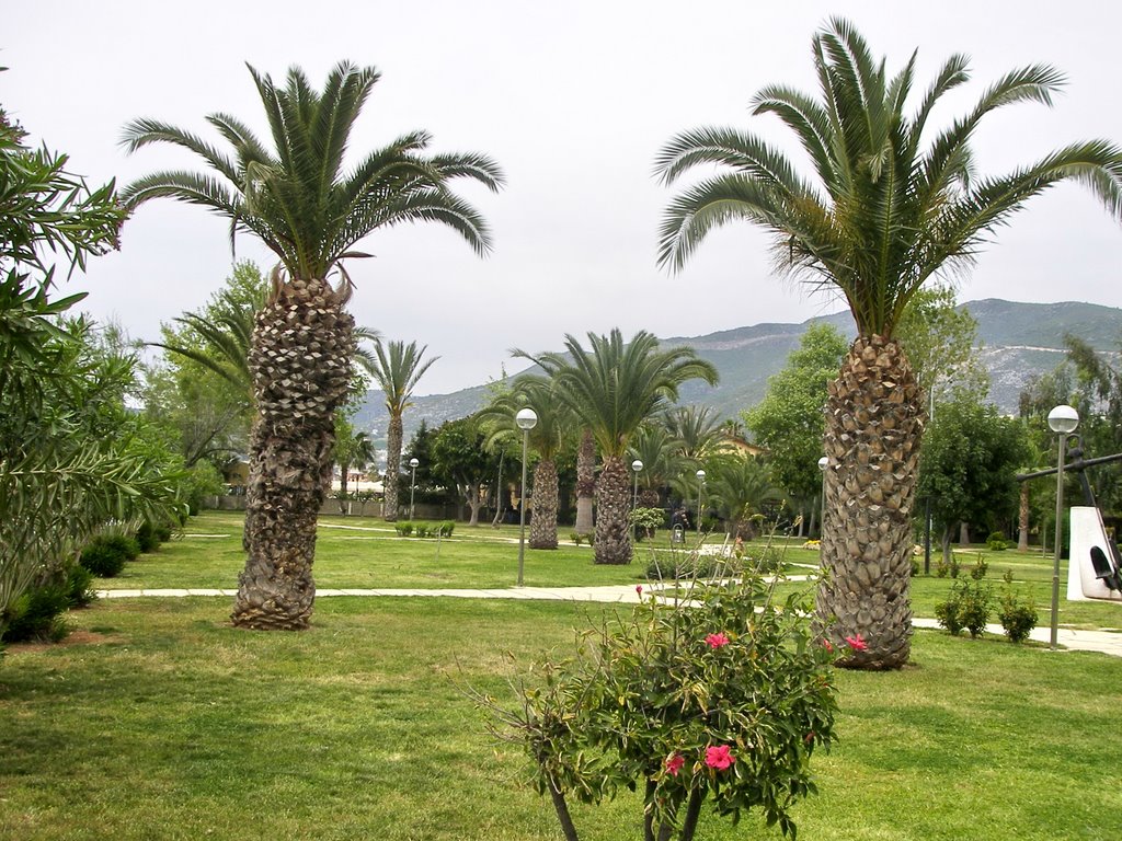 Garden in Alanya, Turkey by M@R10