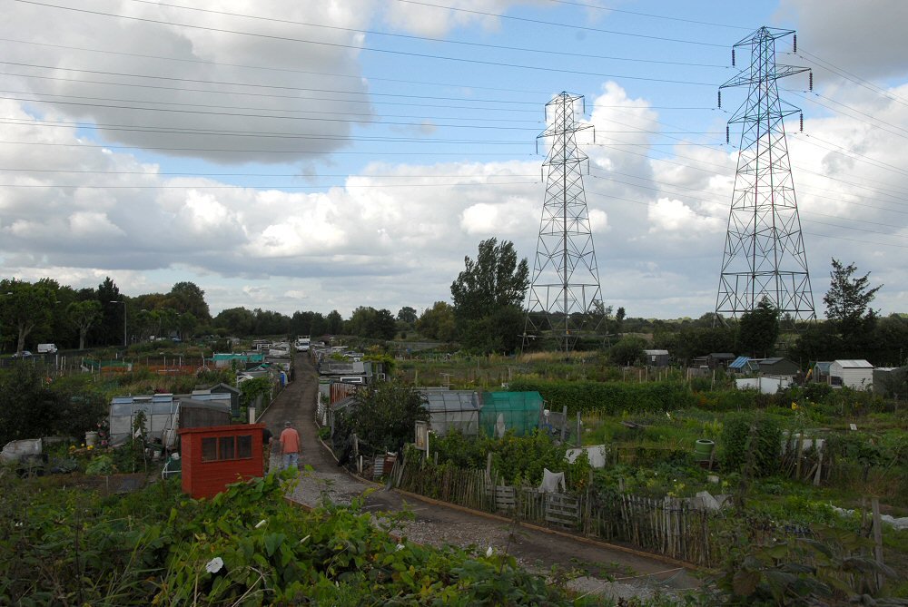 Allotments by David Humphreys