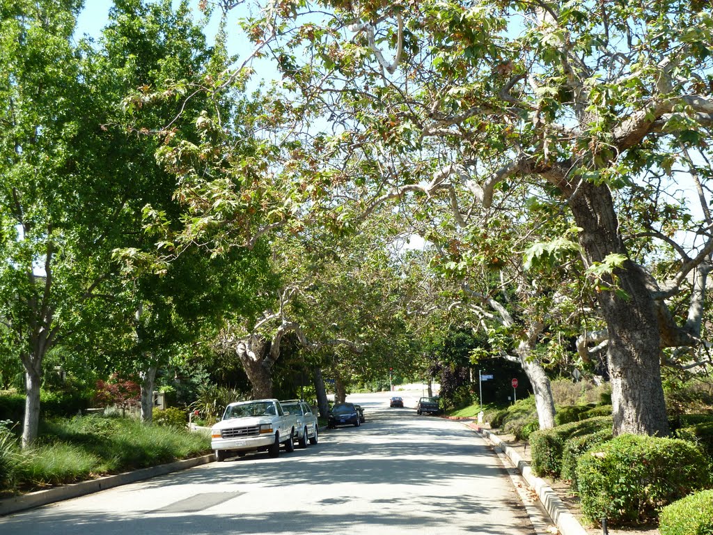 View of Amalfi Drive, Palisades Riviera by Alan Fogelquist