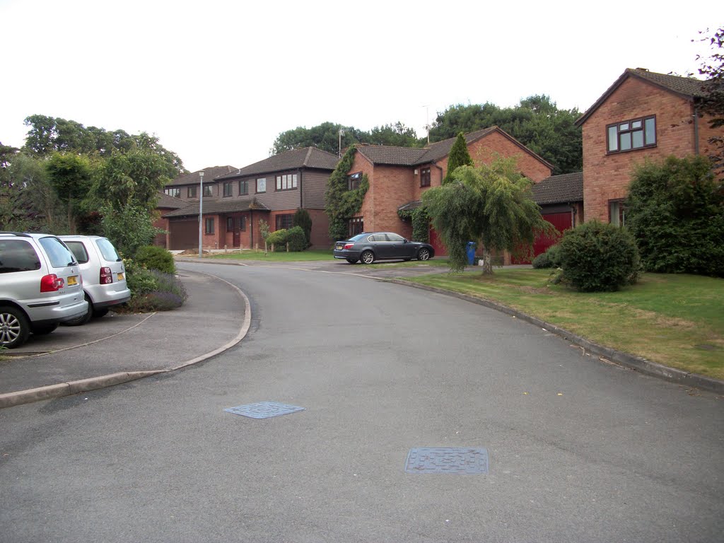 Goose Green by Robert'sGoogleEarthPictures