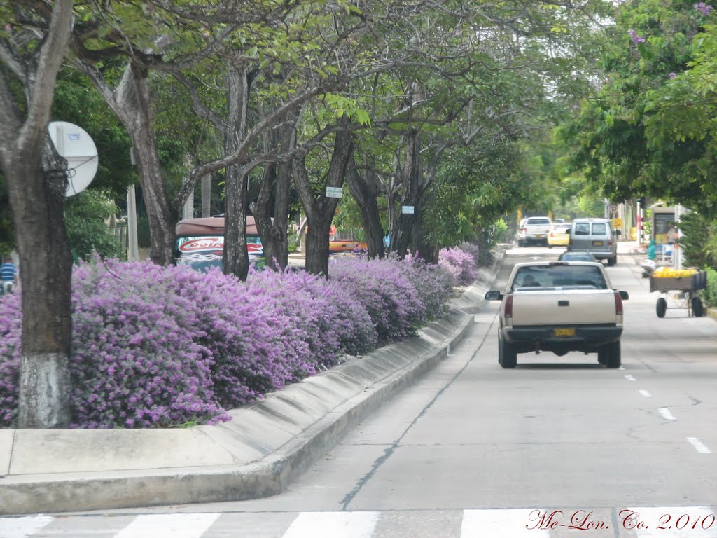 Barranquilla - Colombia. by Ed.Me.Mo.