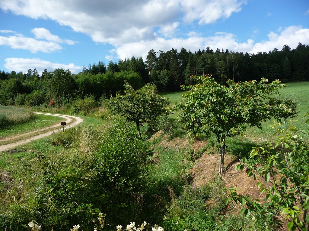 Flussbett des Roten Mains bei Hörlasreuth by martin-r