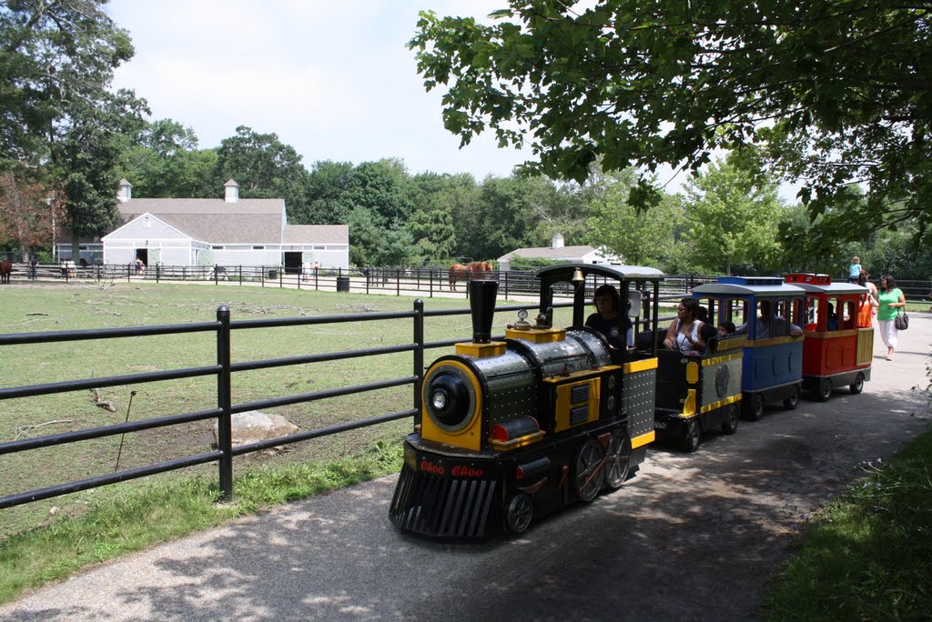 Buttonwood Zoo by LEOPBS