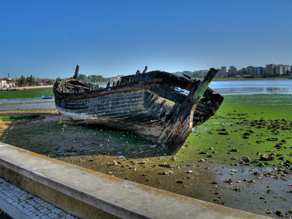 Remains of frigate "Cravidão" III by Vasco Pires