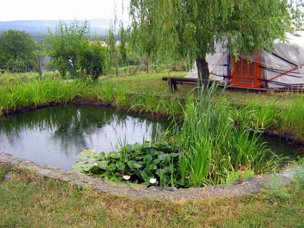 Hobby pond - Hobby tavacska by Mata Hary