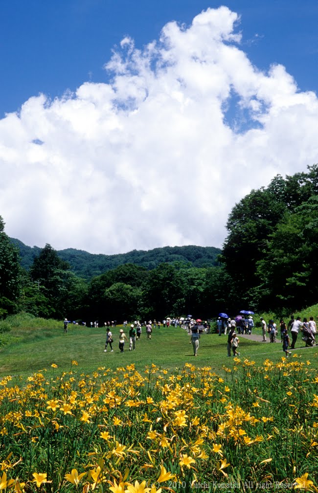 たんばらラベンダーパーク 2010　( 群馬県　沼田市）　Tanbara lavender Park by y_komatsu