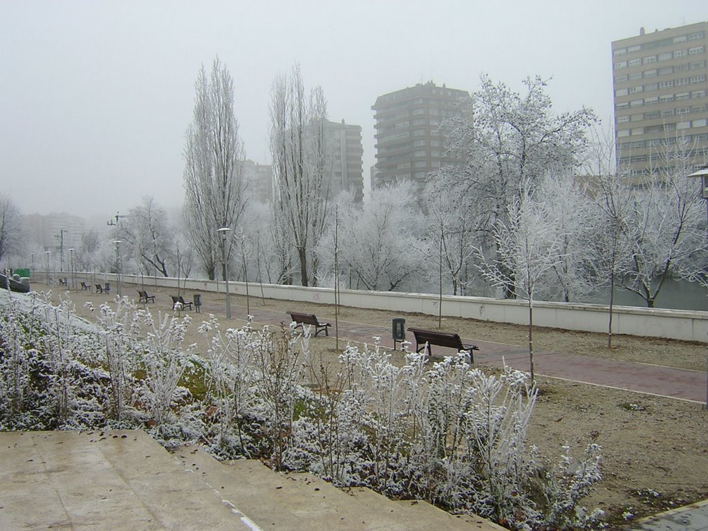 La Rosaleda nevada by Beatriz DP