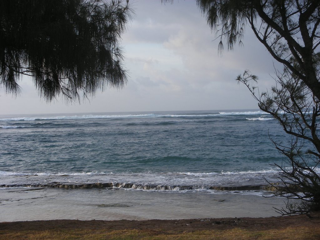 View from the woods at Waipouli Beach, Kapaa by Erdmann Rogge