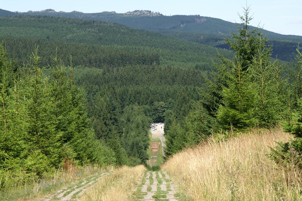 Blick vom Amkenberg über den ehemaligen Kolonnenweg Richtung B27. Im Hintergrund der Hohnekopf. by Chrischan von Danne