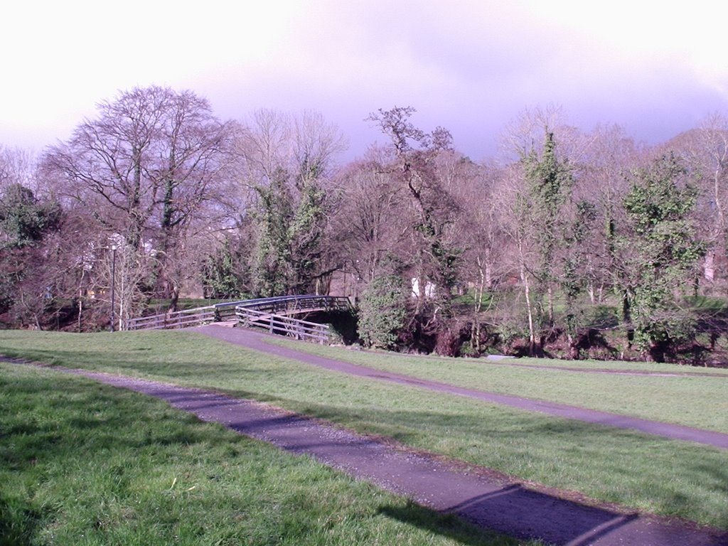 Dromore Town Park - Footbridge by denzell393