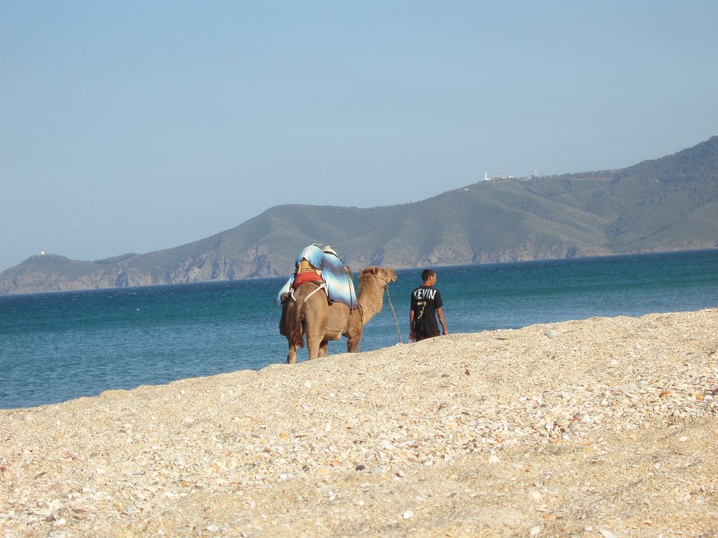 Camello 2 en playa by Ander Bilbao