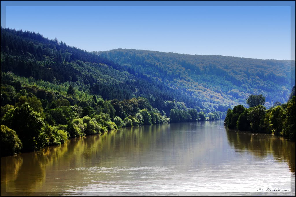 Neckar bei Zwingenberg by Rita Eberle-Wessner