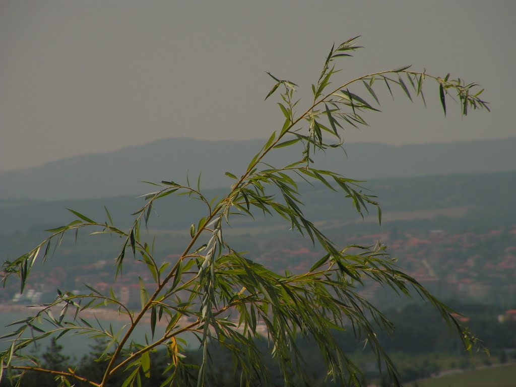 Obzor - Bulgaria by Shubert