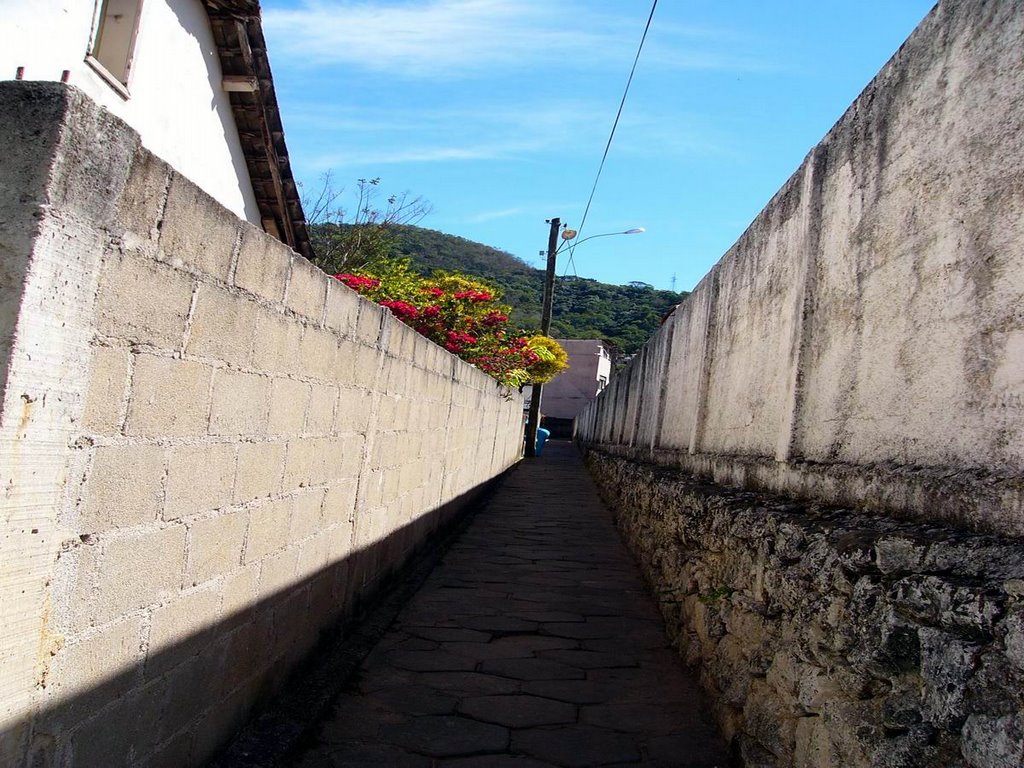 Cemetery's alley-D.Martins-ES by Dorio Nascimento