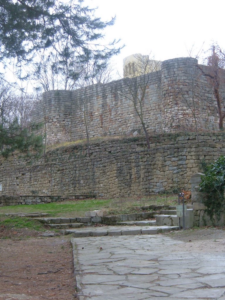 Eastern side of the Golden Church of V. Preslav, old town, Feb. 2007 by dcclintonjr