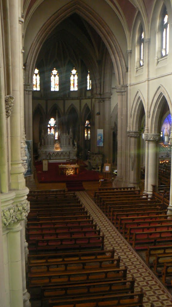 The nave of St. Peter's from the organ gallery. by Harsiem