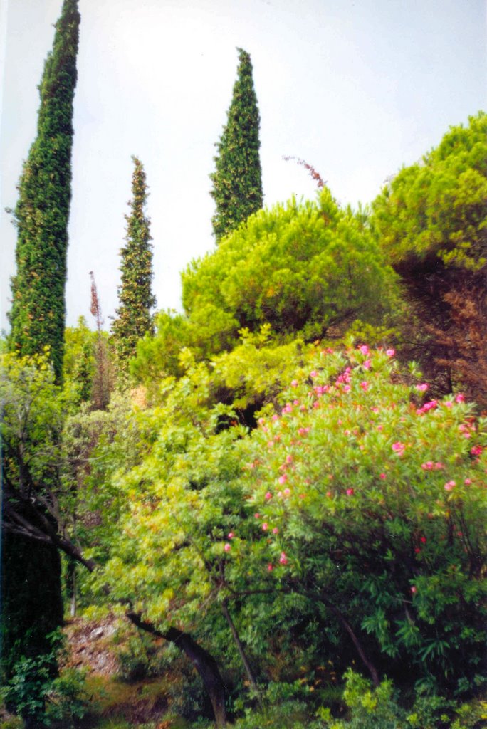 25010 Limone Sul Garda, Province of Brescia, Italy by József Wallner