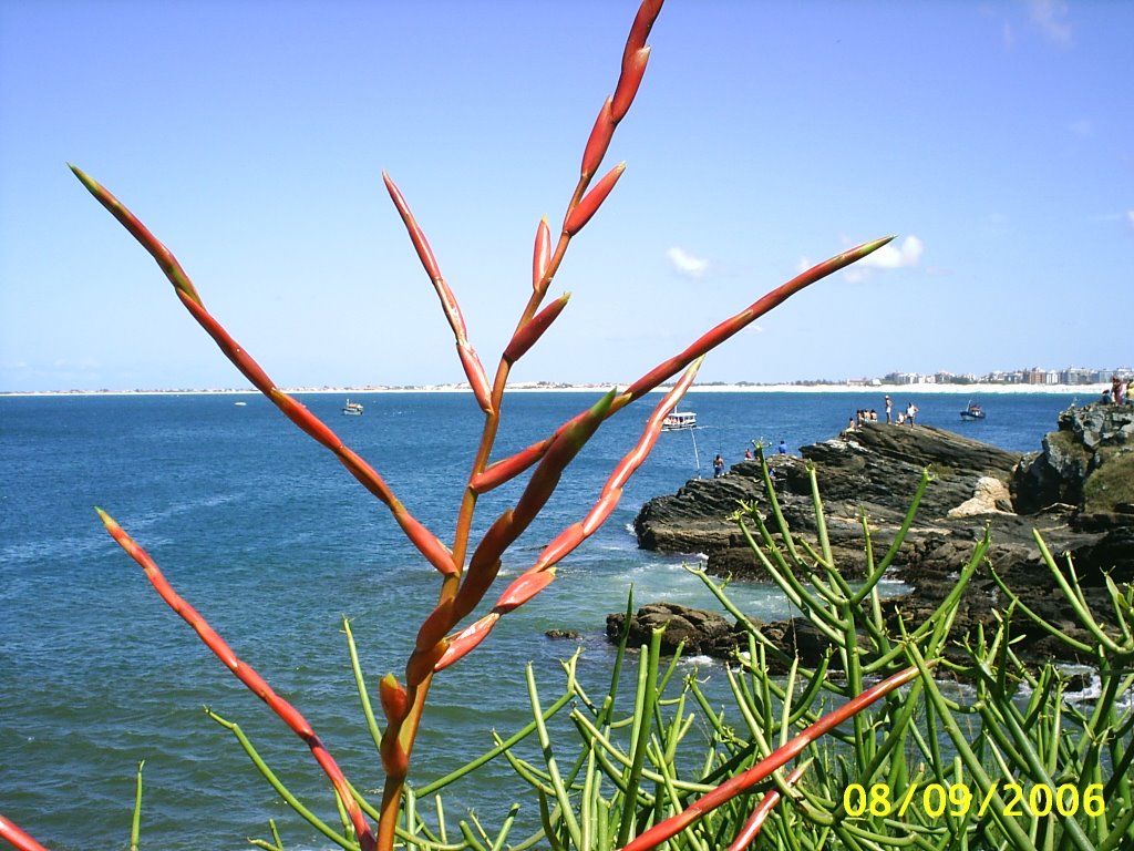 Cabo Frio - Praia do Forte by j augusto