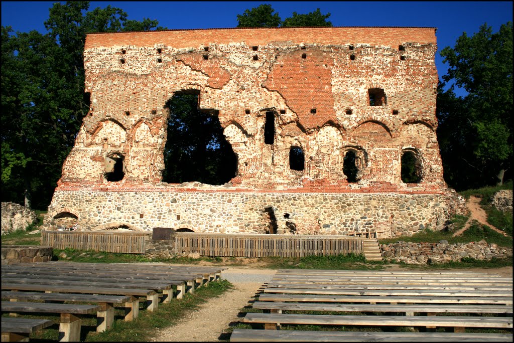 Viljandi castle's ruins by Laima Gūtmane(simka)