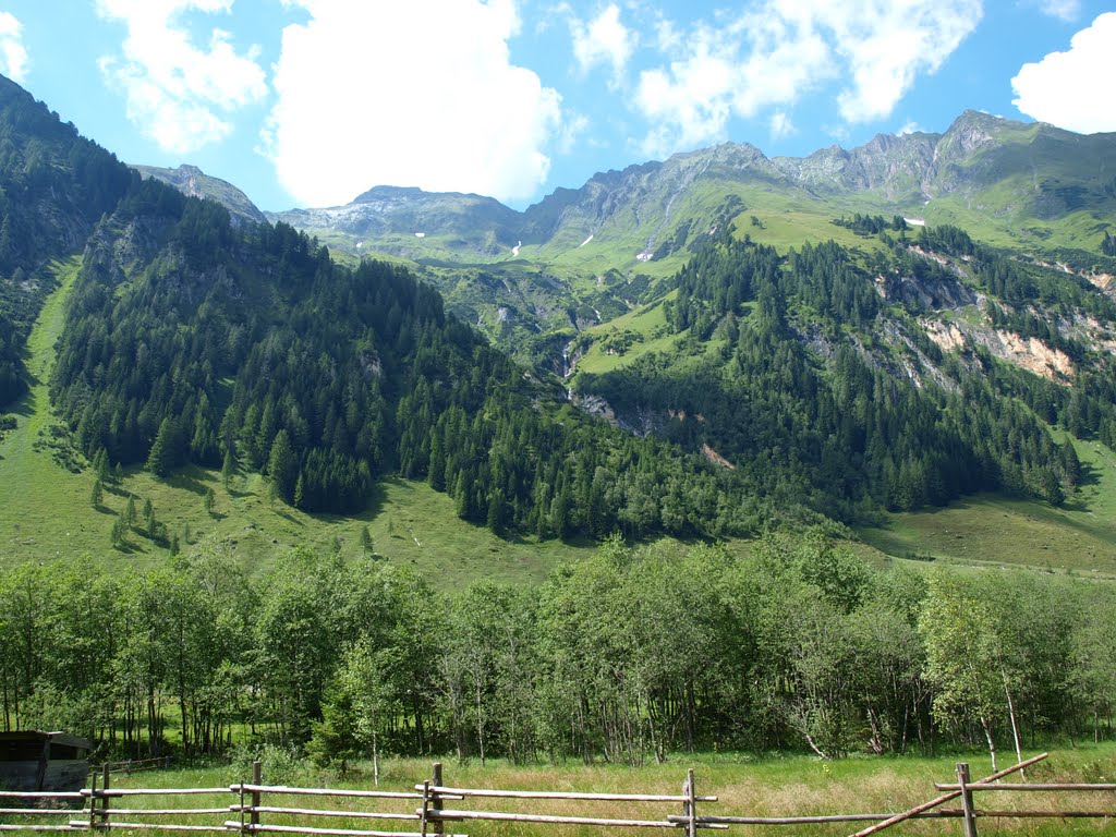 ..bei Palfner Alm by pzsu