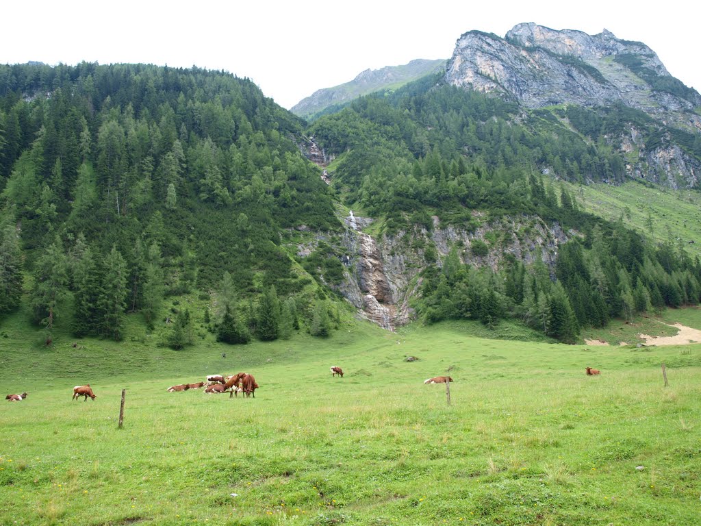 ..Richtung Gollehen Alm. by pzsu