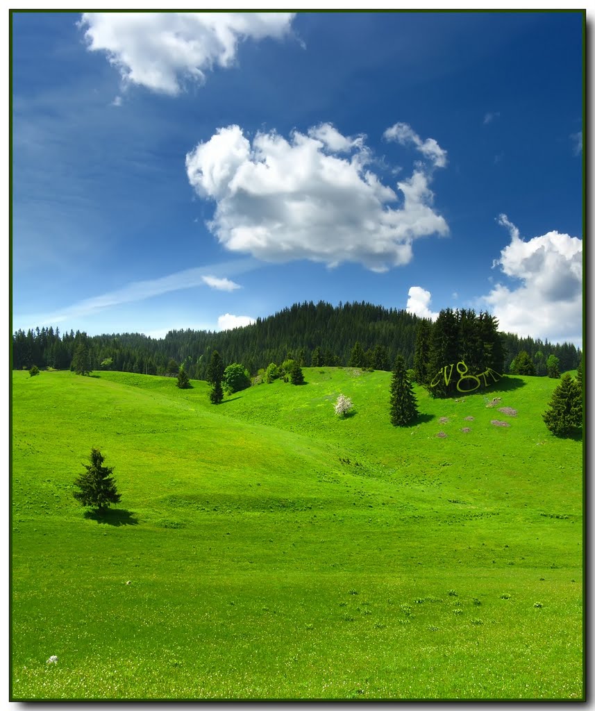 Springtime in the Rhodopes / Пролет в Родопите - Роженски Поляни by evg777