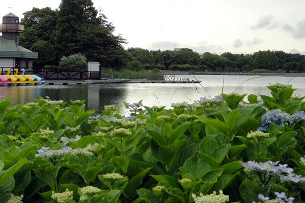 柏の葉公園 / Kashiwanoha Park by cecilia_smy