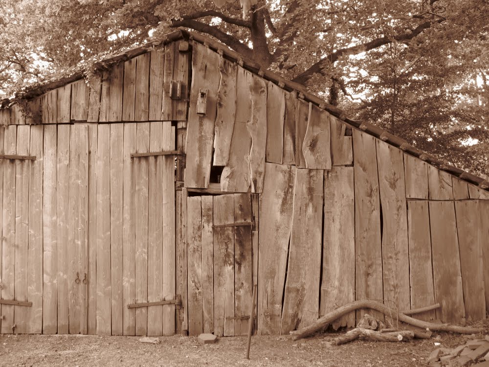 Old shed by wndrin