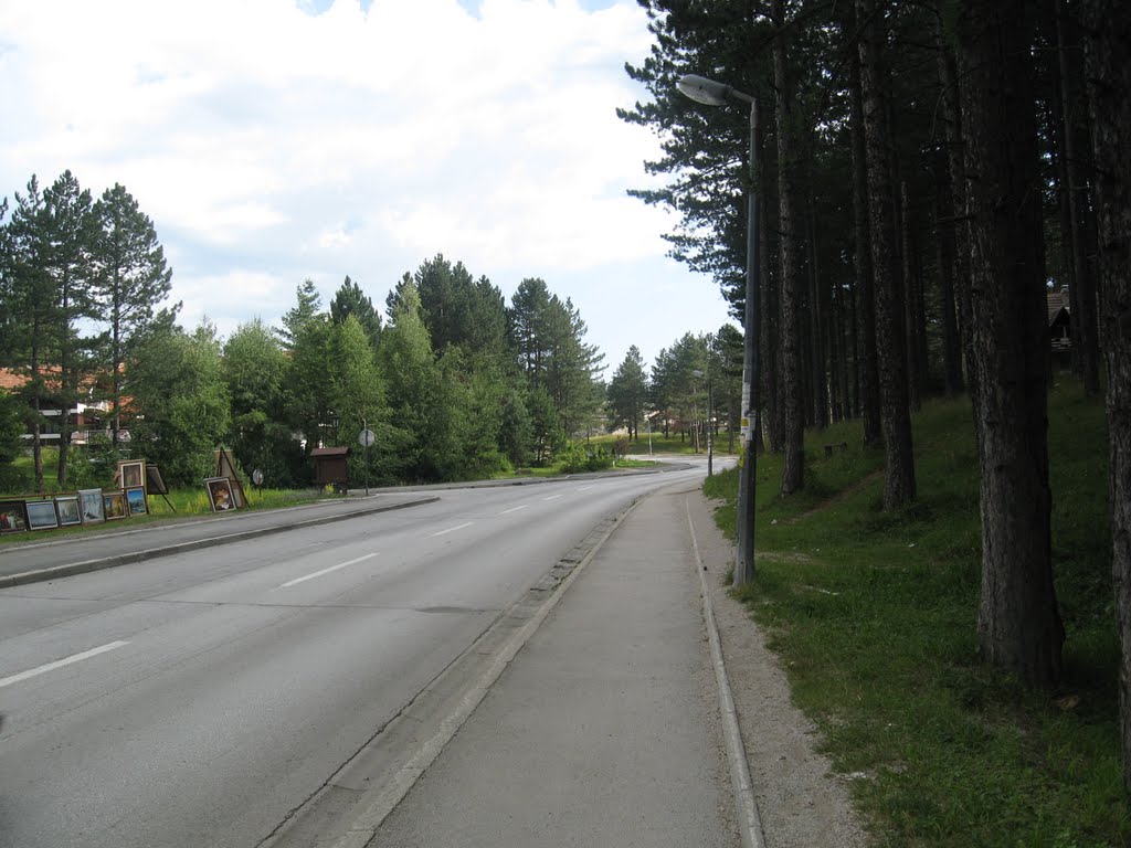 Zlatibor... ujutru... by nikola1981