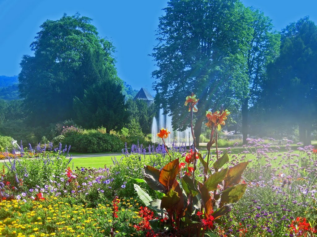 Weinheim - Blütenpracht im Schloßpark by Andreas-Müller - NO VIEWS