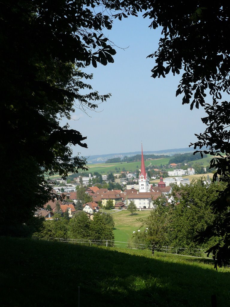 Beromünster by grunder