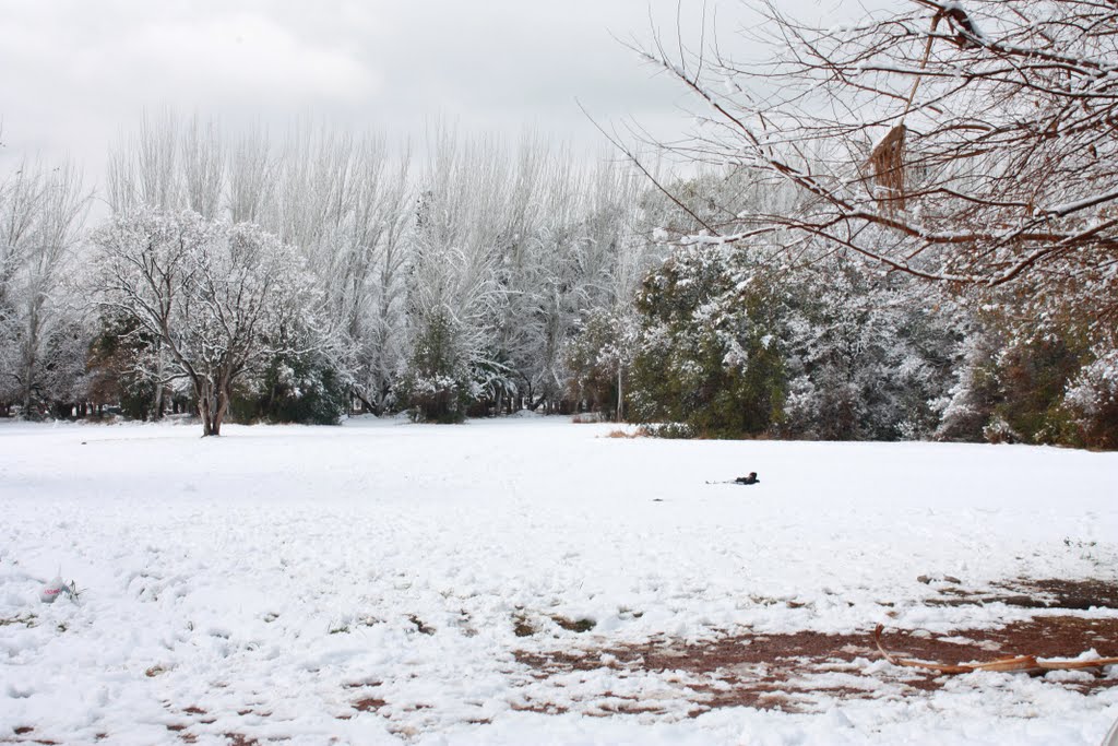 Parque General San Martín by Enterhase