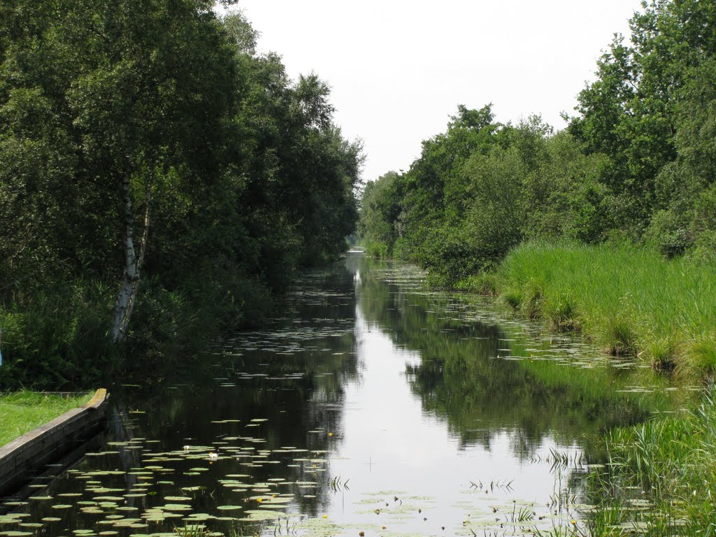 Weerribben at Ossenzijl by Ronnie lorist