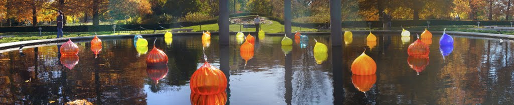 Reflecting Pool - Missouri Botanical Gardens by Raygun Mike