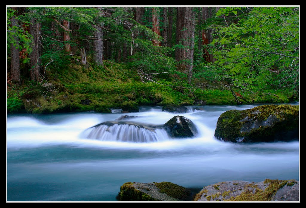 Dungeness River by Matt Lemke