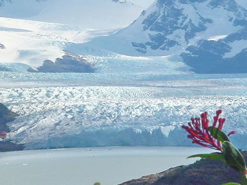 Glaciar Perito Moreno - Santa Cruz - Ñire - ecm by eliseo c. martínez