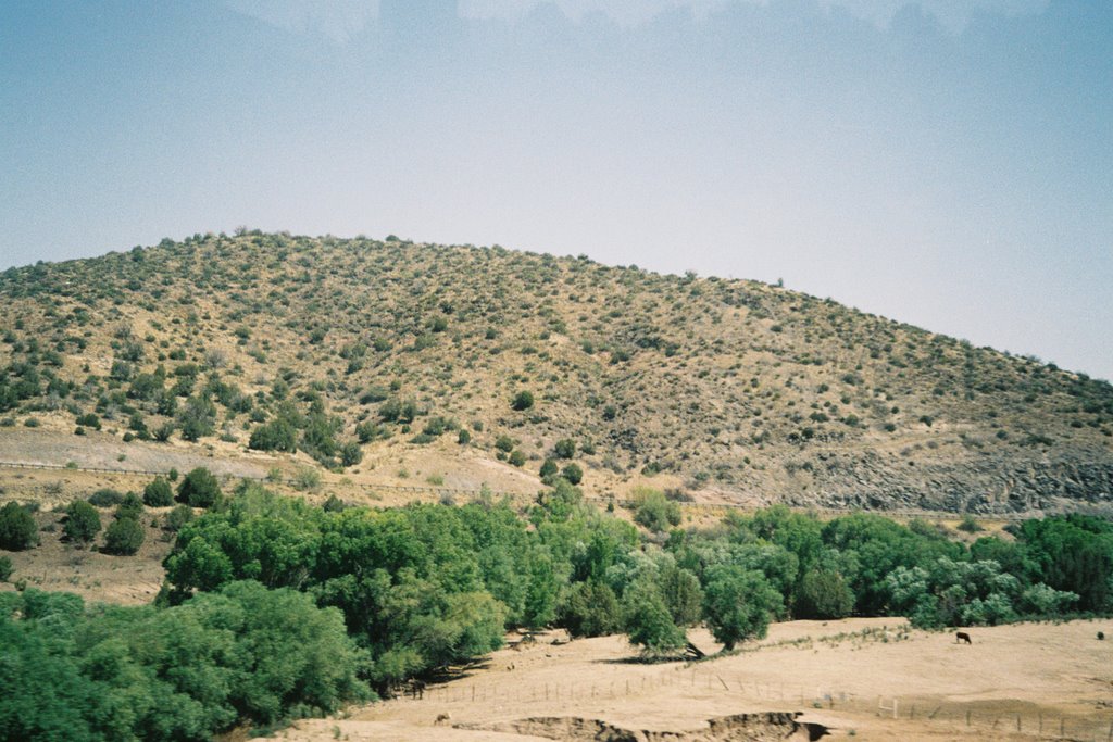 Desert of Nevada on my way to the Grand Canyon( MY DREAMS CAME TRUE) by Naz Mustun