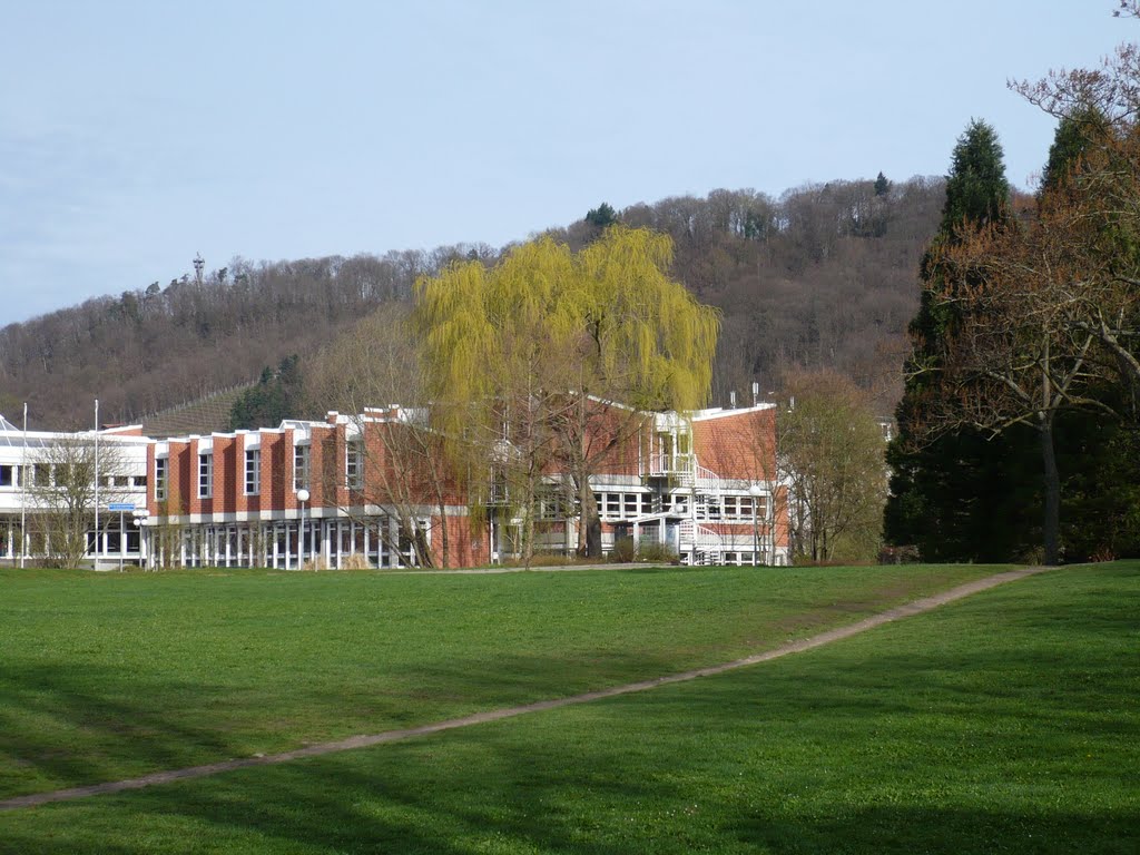 Musikhochschule, Freiburg by Alfred Schneider