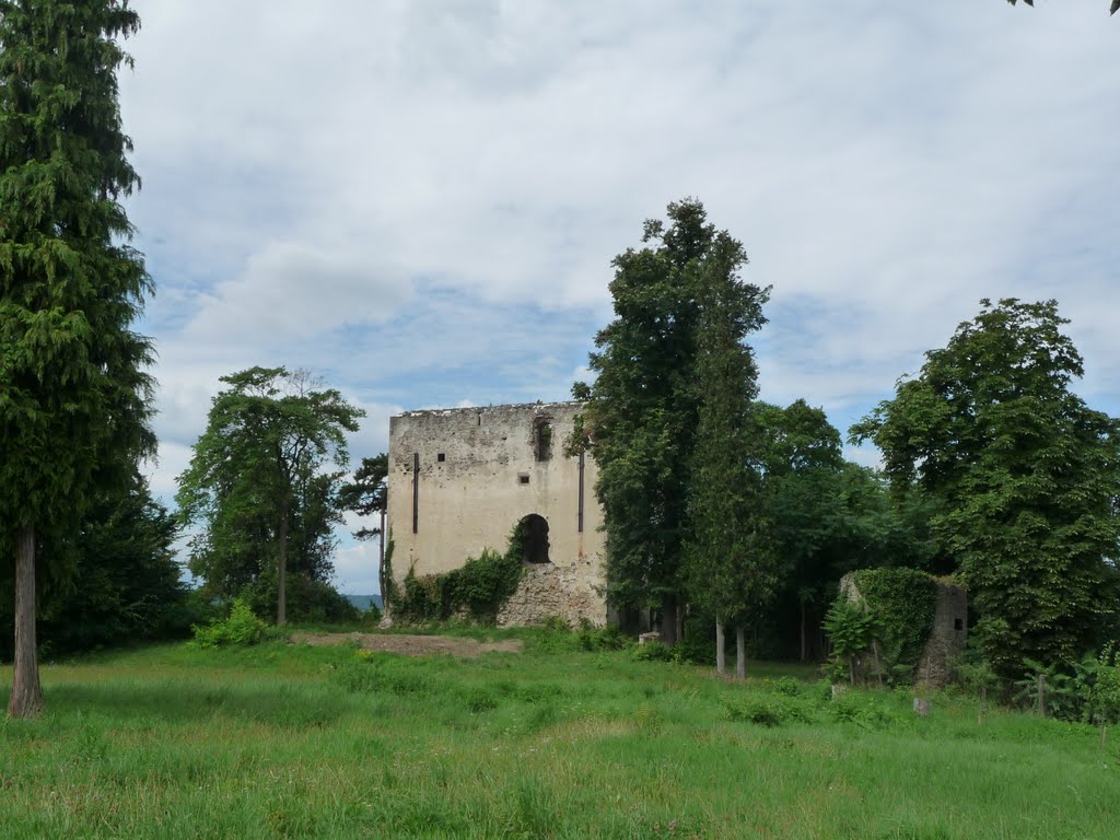 Ruine Bertholdstein by gt123456